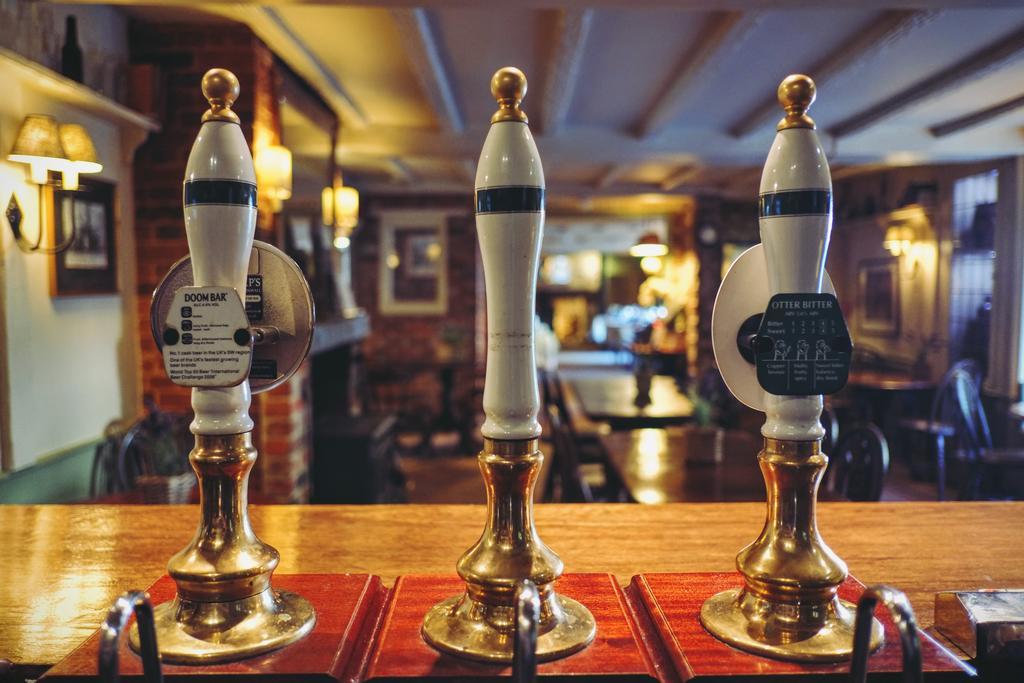 Hambro Arms Hotel Milton Abbas Luaran gambar